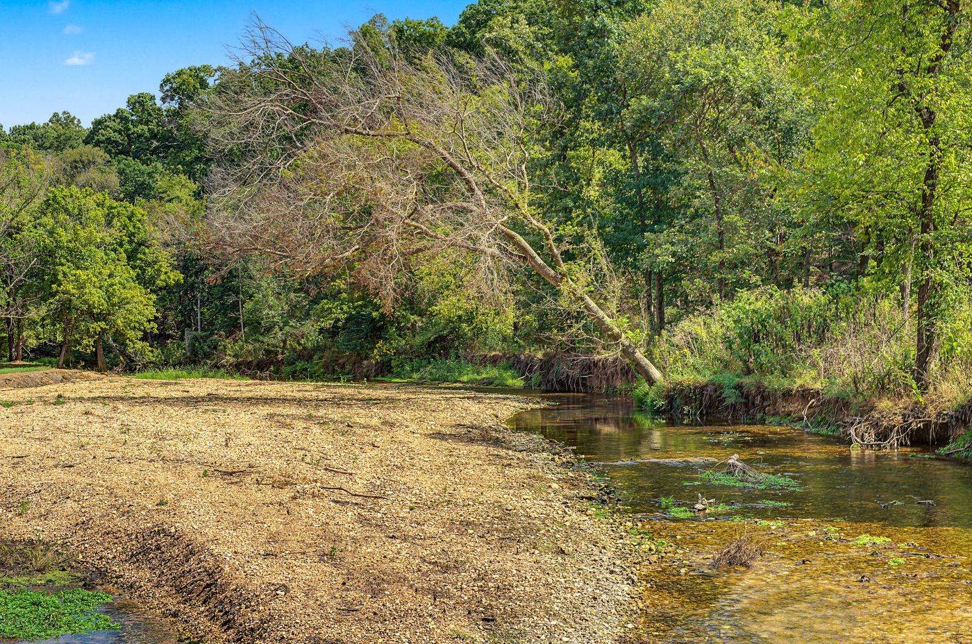 Creek running through a wooded acreage listing, photographed by 1440 Real Estate Media